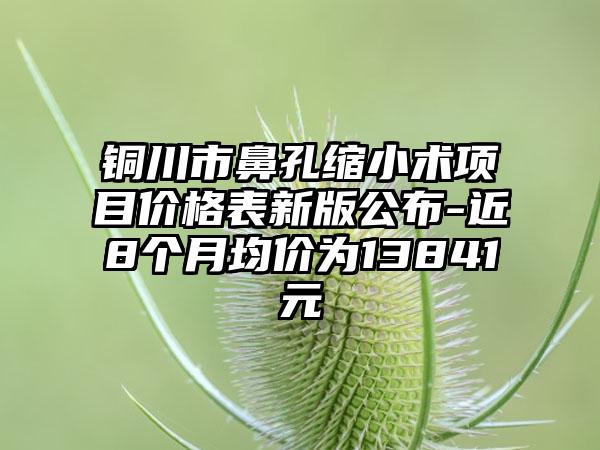 铜川市鼻孔缩小术项目价格表新版公布-近8个月均价为13841元