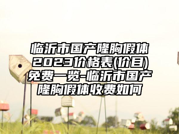 临沂市国产隆胸假体2023价格表(价目)免费一览-临沂市国产隆胸假体收费如何