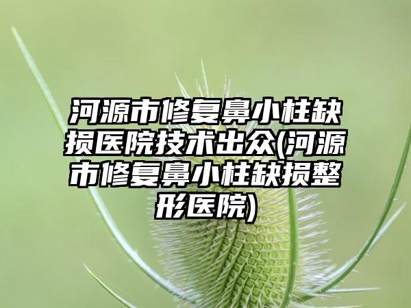 河源市修复鼻小柱缺损医院技术出众(河源市修复鼻小柱缺损整形医院)