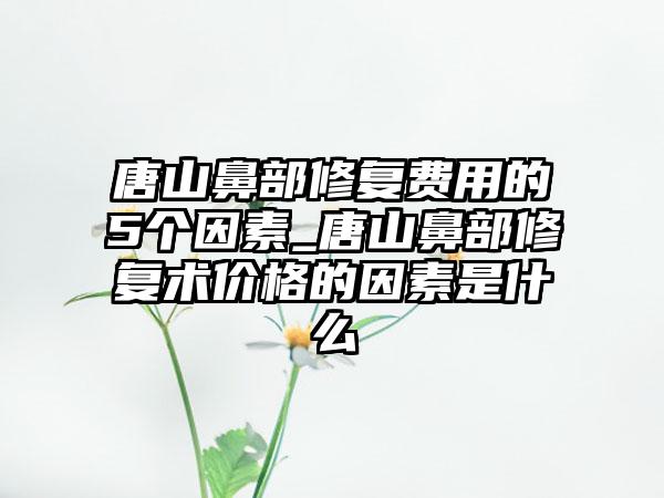 唐山鼻部修复费用的5个因素_唐山鼻部修复术价格的因素是什么