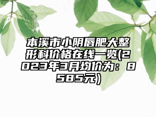 本溪市小阴唇肥大整形科价格在线一览(2023年3月均价为：8585元）