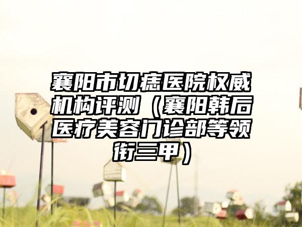 襄阳市切痣医院权威机构评测（襄阳韩后医疗美容门诊部等领衔三甲）