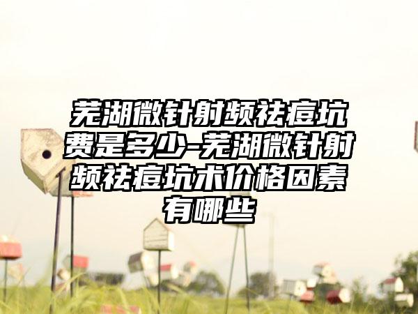 芜湖微针射频祛痘坑费是多少-芜湖微针射频祛痘坑术价格因素有哪些