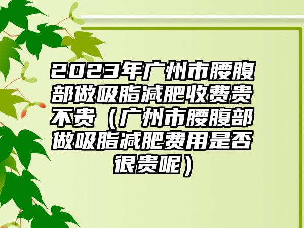 2023年广州市腰腹部做吸脂减肥收费贵不贵（广州市腰腹部做吸脂减肥费用是否很贵呢）